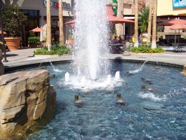 Water fountain in Tustin
